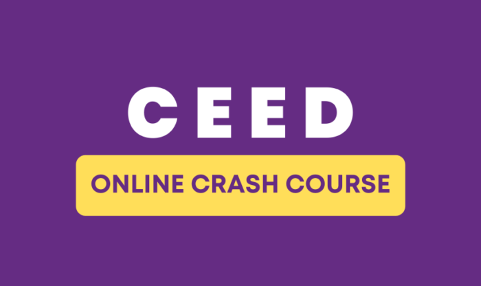 CEED_online_crash_course